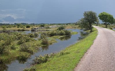 Hiking Trails