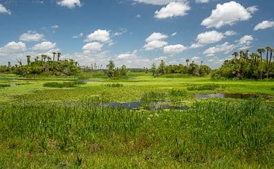 Orlando Wetlands Park