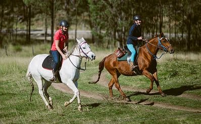 Chapman Valley Horse Riding