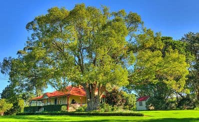 Wollongong Botanic Garden