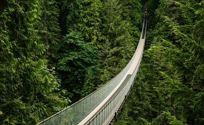 Capilano Suspension Bridge