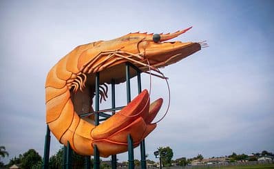 Big Prawn
