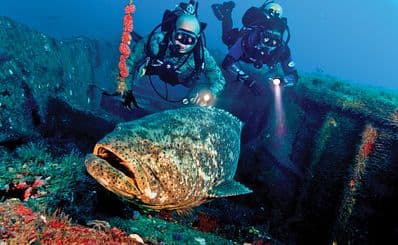 Jupiter Dive Center