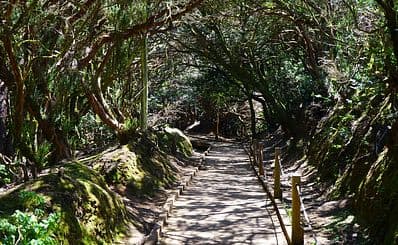 Sendero de los Sentidos