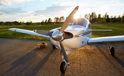 Sky King Soaring