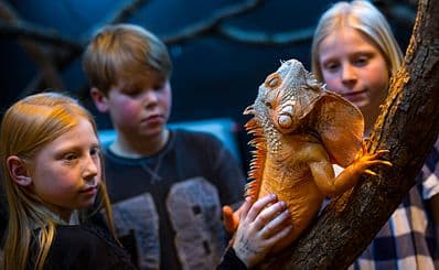 Kungsbyns Animal Park
