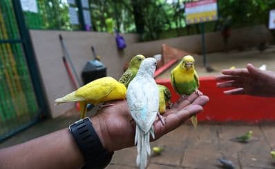Langkawi Wildlife Park