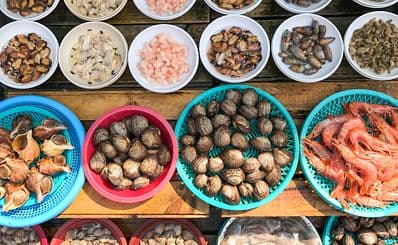 Jagalchi Fish Market