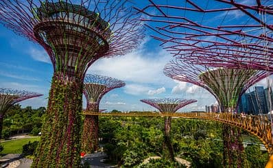 Gardens by the Bay