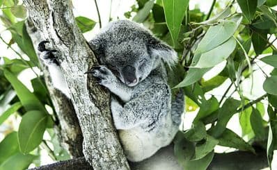 Blackpool Zoo