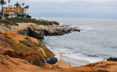 La Jolla Cove