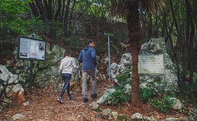 Forest path of Carmen Sylva