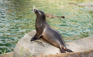 Cologne Zoo