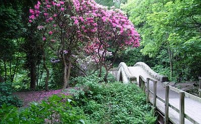 Jesmond Dene Park
