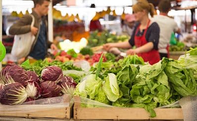 Historic Lewis County Farmers Market