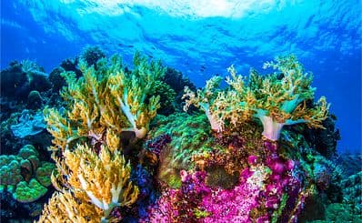 National Nature Reserve of St Martin