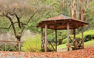 Dandenong Ranges
