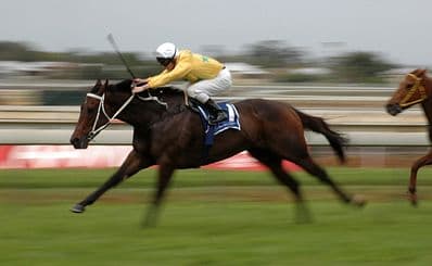 Pau Racecourse