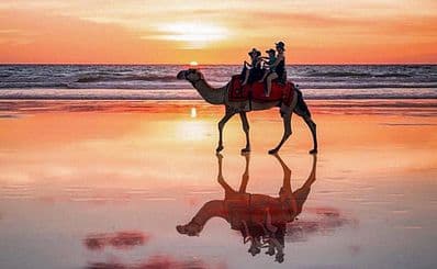 Camel Train on the Beach