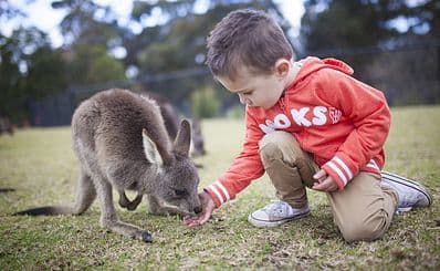 Symbio Wildlife Park