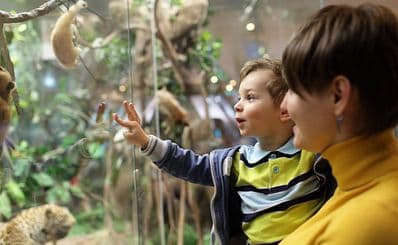 Calusa Nature Center & Planetarium