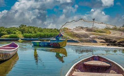 La Boquilla & the Mangroves