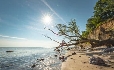 Brodten Steep Coast