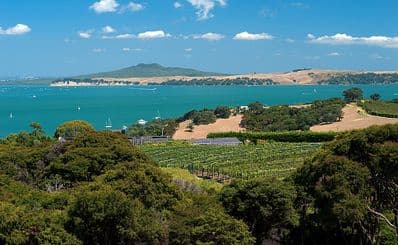 Waiheke Island