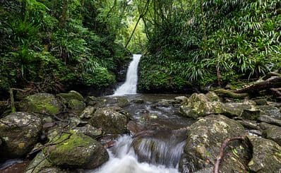 Lamington National Park