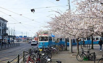Public Transport