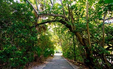 Red Reef Park