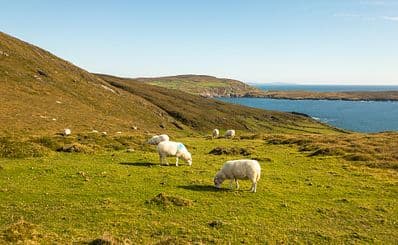 Dursey Island