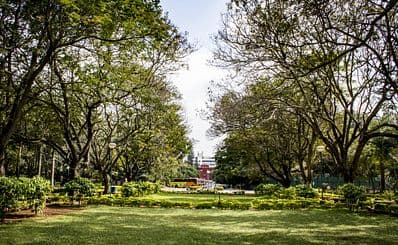 Cubbon Park
