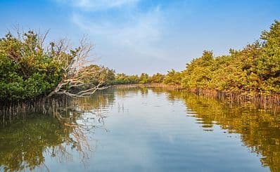 Purple Island