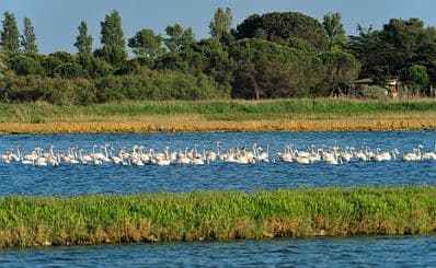 Under water and on land: unspoilt nature