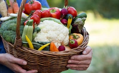 Bio-Food