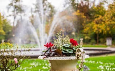 Flora and Botanical Garden