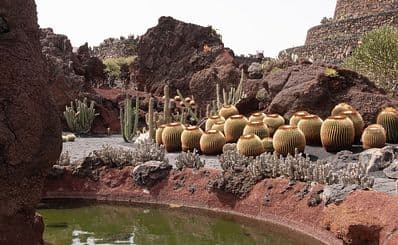 Best Time to Visit Lanzarote