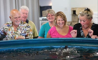 Tailor Made Fish Farm
