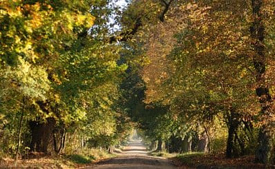 "Puszcza Zielonka" Landscape Park