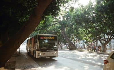 Public Transport