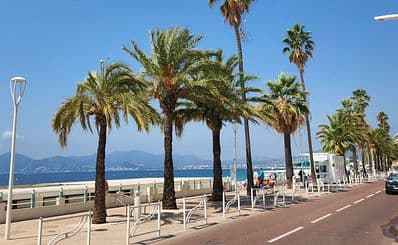Palm Beach Cannes