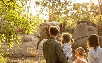 Basel Zoo