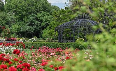 University Botanical Garden Ecopark Varna