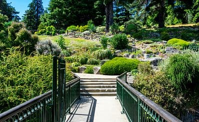 Dunedin Botanic Garden