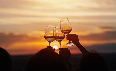Wine Road of the Pisan Hills