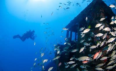 Rhone Marine Park