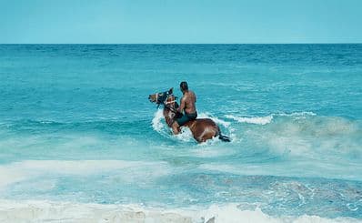 Horseback Riding