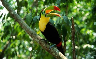 Manuel Antonio National Park
