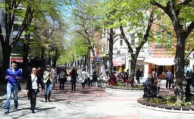 Main Shopping Street